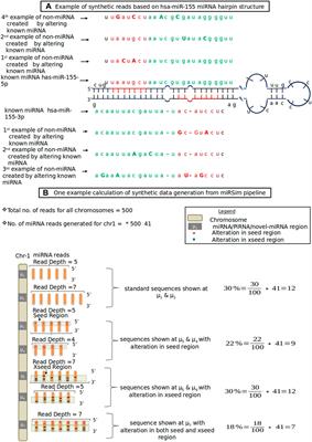 A Unified Computational Framework for a Robust, Reliable, and Reproducible Identification of Novel miRNAs From the RNA Sequencing Data